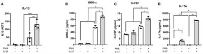 IL-17A Modulates Peritoneal Macrophage Recruitment and M2 Polarization in Endometriosis